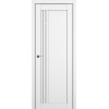 Межкомнатная дверь Zadoor S S22 ДО цвет Белый матовый стекло Pure White