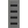 Межкомнатная дверь TexStyle TS2 ДО цвет Лорэт графит стекло Lacobel черный лак